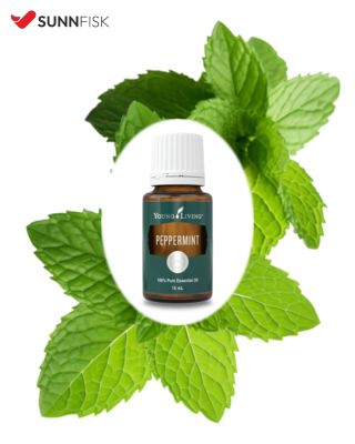 🌿 Máta peprná – přírodní osvěžení, které pomáhá tělu i hlavě. Podporuje trávení, uvolňuje při nadýmání i žaludeční...