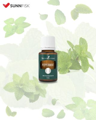 💨 Máta peprná – esenciální olej, který pročistí hlavu i vzduch. Podporuje volné dýchání, osvěžuje mysl a pomáhá při únavě...